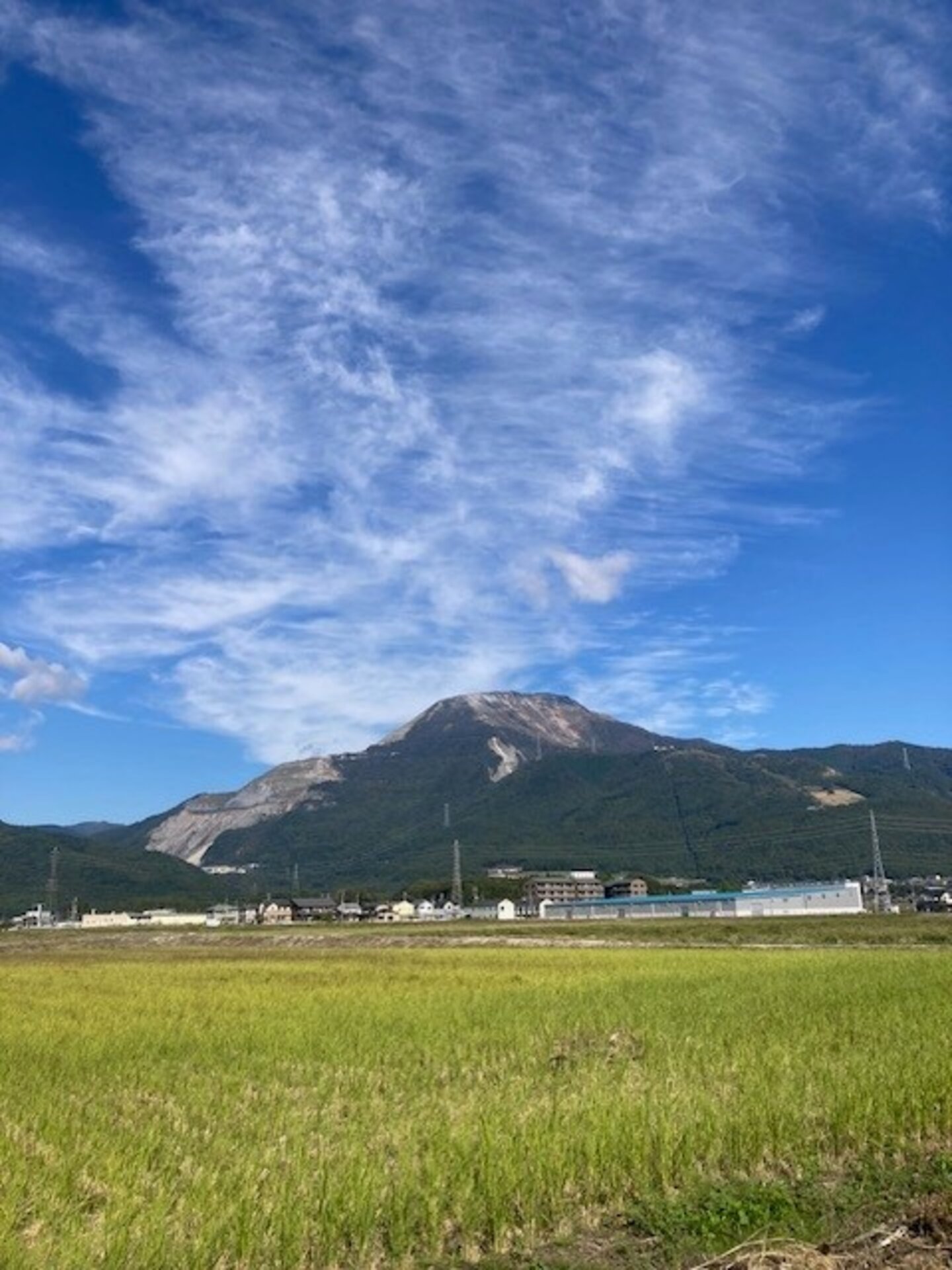 画像のaltを設定してください