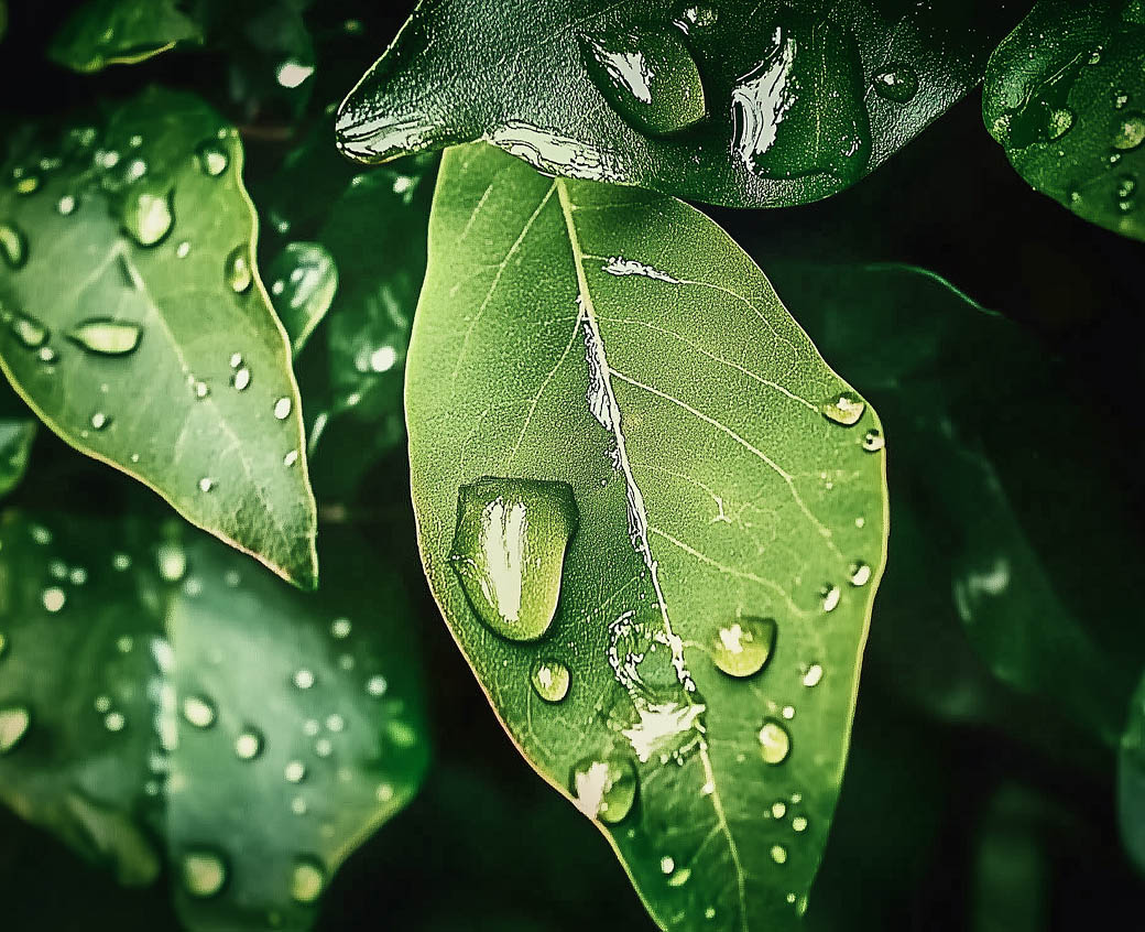 画像のaltを設定してください