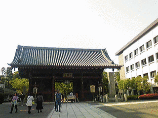 石井輝司の画像
