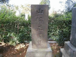 山脇正勝の画像