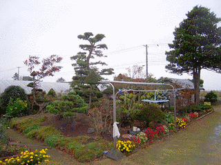 坪井与の画像