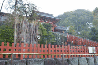 由井敢の画像