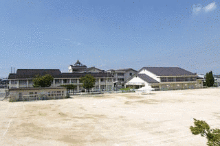 田中和泉の画像