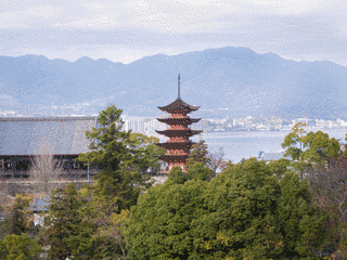 中谷巳次郎の画像
