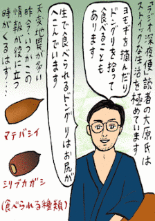 大原恒一の画像