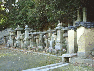 野崎丹斐太郎の画像