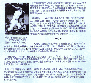 国貞泰汎の画像