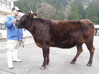 土井茂の画像