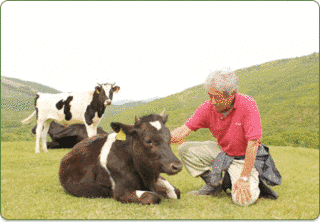 中洞正の画像