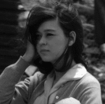 入江美樹の画像