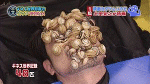 城野親徳の画像