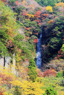 水沢渓の画像