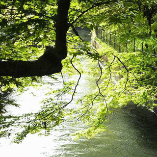 西澤真蔵の画像