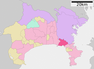 東郷慎十郎の画像