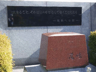 尾崎しょうの画像