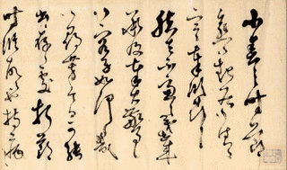 金子操の画像
