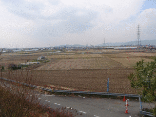 橋本福松の画像