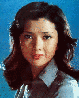 多岐川裕美の画像