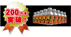 山元正博の画像