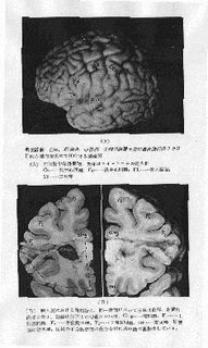 広瀬貞雄の画像
