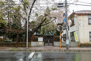 野村治三郎の画像