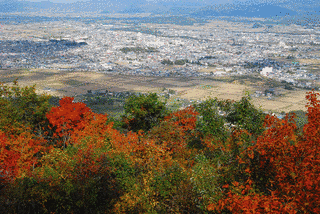 上山市郎兵衛の画像