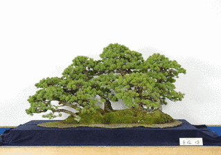 手塚正次の画像
