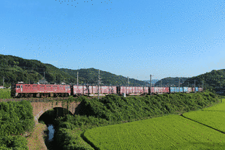 西松龍一の画像
