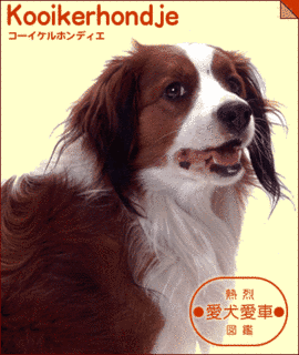 石川雅実の画像
