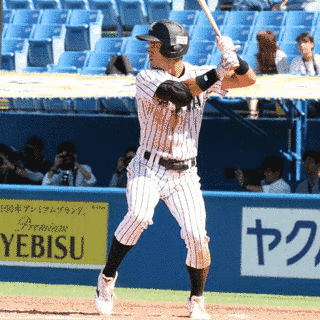 板山祐太郎の画像
