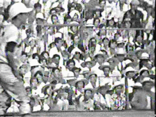 井上明の画像