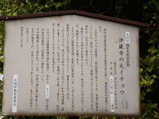 太田枝雄の画像