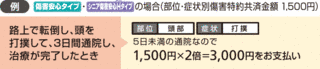 傷害の画像