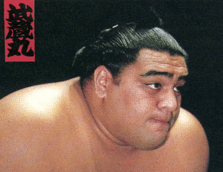 武蔵丸光洋の画像