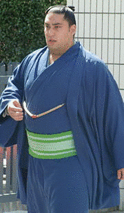 若東吉信の画像