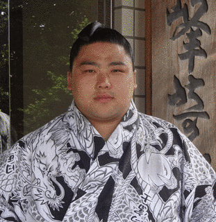 豪頂山傑士の画像