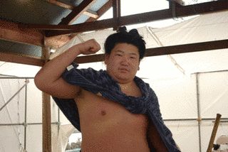 大鷹浪勝の画像