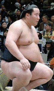 徳瀬川正直の画像