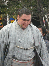 若ノ鵬寿則の画像