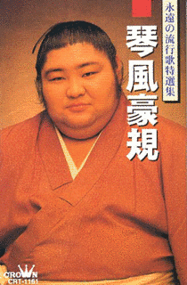 琴風豪規の画像
