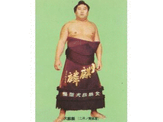 大麒麟將能の画像