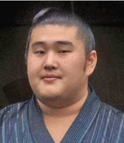 栃乃若導大の画像