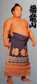 播竜山孝晴の画像
