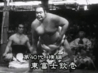 千代の山雅信の画像