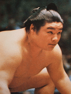 麒麟児和春の画像