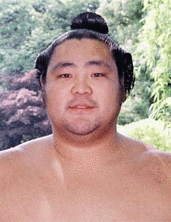 琴富士孝也の画像