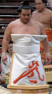 千代嵐慶喜の画像