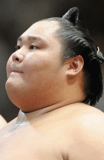 千葉県出身の大相撲力士の画像