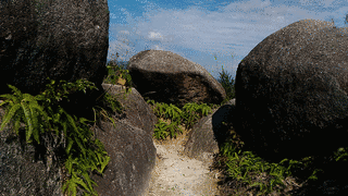 双子岩傳一の画像