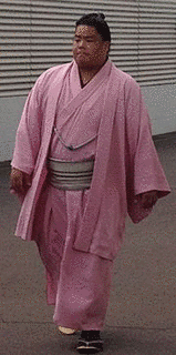 大栄翔勇人の画像